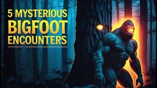 5 Mysterious Bigfoot Encounters Explained: Chilling Night-time Sightings