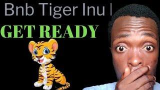 BNB tiger Inu || What You Should Know NOW