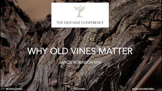 1. OVC4: Opening address: Why old vines matter - Jancis Robinson MW