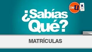 ¿Sabías qué? Edición N° 08 - Matrículas