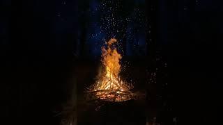BONfire #asmr #bonfire #campimg#relaxingmusic #sleepmusic #rainsounds #relaxing #viral
