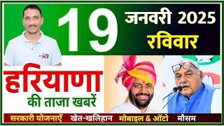 19 January 2025 Haryana News || हरियाणा की ताजा खबरें || Haryana Live News || CWB Hindi News