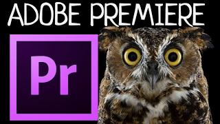 Стабилизация видео в Adobe Premiere