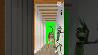Lion Nap Door Dash and Dame tu Cos ita  #shorts #vfx #ytshorts #cartoon #funny