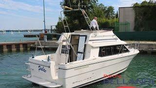 Bayliner 2858 FLY  Command Bridge