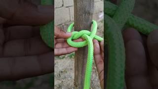 The Best Way To Tie Knot / Easy To Tie ️