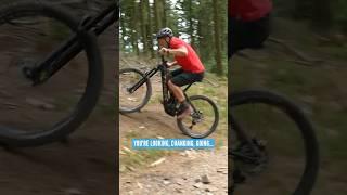 NEW Bosch SX Motor | Climbing Power