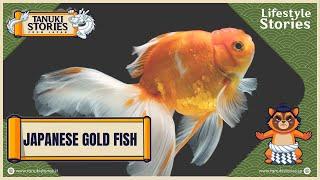 The Intricate World of Japanese Goldfish Culture: Symbolism, Beauty, and Tradition