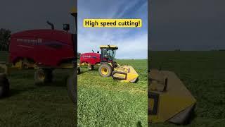 Time to cut some hay!￼