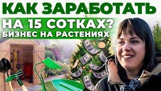 Как заработать на туях и можжевельнике? Бизнес в деревне | Брянск | Андрей Даниленко