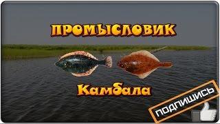 Русская рыбалка 3.99 Промысловик 4 - Камбала