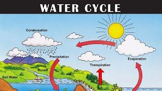 #Watercycle process | #hydrologicalcycle| #Watercycle Explanation | #letsgrowup  |  #e-square1247