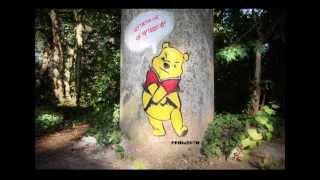 Angry Winnie the Pooh - promesto