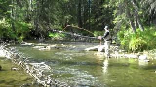 Fishing the Raven River