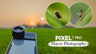 Pixel 7 Pro Macro Photography | Prosumer Macro Lens For Mobile