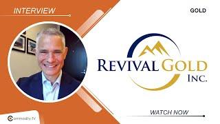 Revival Gold: More Drilling in 2025 to Show Scale Potential of Mercur and Beartrack-Arnett