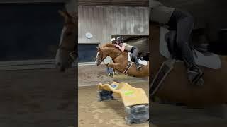 Knees to nose from best girl in the world . So much love for her. #horse #equestrian #pony #cherry