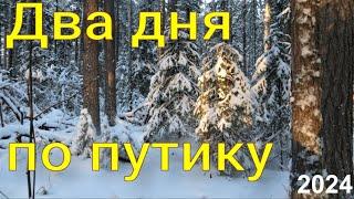 Прошёл по большому путику проверил предварительно взведённые капканы опять проказы медведей