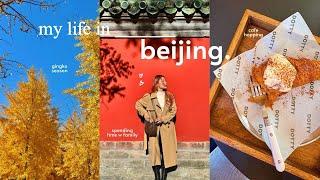 life in beijing  gingko season, solo cafe dates ️ spending time w family, nonstop eating 