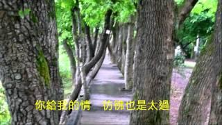 音樂磁場COVER - 愫。 羅東林業文化園區,Taiwan