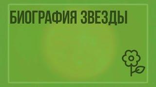 Биография звезды. Видеоурок по природоведению 5 класс