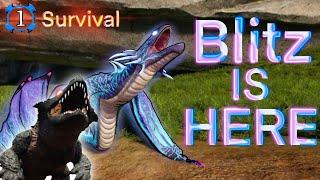 Surviving as the BLITZ STRIKER in Day of Dragons