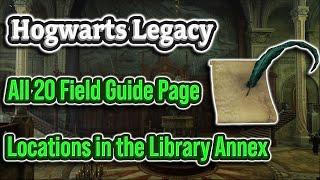 ALL 20 Library Annex Field Guide Pages | Hogwarts Legacy 100% Walkthrough