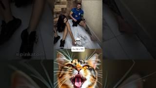 She created leg just to tickle him #funny #memes #cat