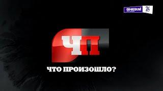 Что произошло. 19.11.24. Работает ОМОН! В Сургуте у крупных ТЦ искали мигрантов-нарушителей