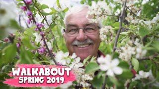 Go Walkabout the Permaculture Orchard in BLOOM