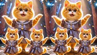  Cat Videos Funny Dancing| Majedaar kittens dance #dancingcat #funnycat #catlover @DancingCat11