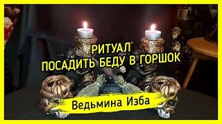 РИТУАЛ ПОСАДИТЬ БЕДУ В ГОРШОК . ДЛЯ ВСЕХ. #ВЕДЬМИНАИЗБА ▶️ #МАГИЯ