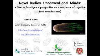 "Novel Bodies, Unconventional Minds: diverse intelligence and the study of consciousness"