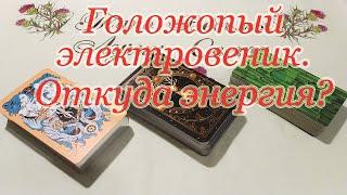 Голозадый энтузиаст, всех доставший электровеник. Откуда берёт энергию? Общий расклад.