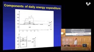 Advances in physical activity monitoring and lifestyle interventions in obesity