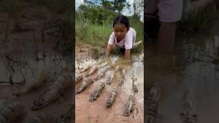 Survival Skills: single mom with shrimp skills in forest #survival #camping #bushcraft #outdoors