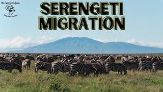 Serengeti National Park Experience and tips you need to know (May 2024)