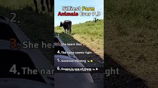 Silliest Farm Animals Ever Part 3! 
