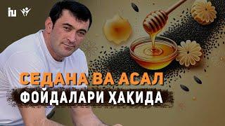 Қора дона (Седана) ва Асал аралашмаси | Бир қошиқда соғлик ва куч-қувват