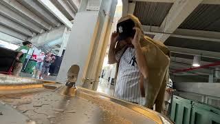 MLB LIVE New York Yankees vs Baltimore Orioles June 22 2025 Yankee Stadium Bronx,NY