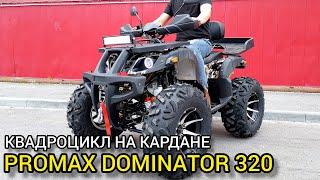 Обзор квадроцикла на кардане PROMAX DOMINATOR 320 PRO