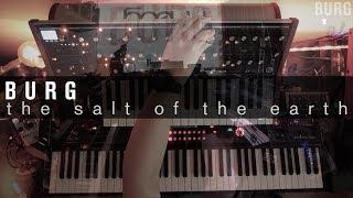 BURG - The Salt Of The Earth #AvalonBassline #eurorack #Subsequent37