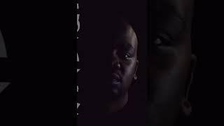 @DxDVSHx - VAN-DVSH