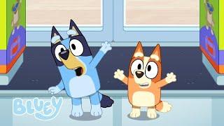 Skynder sig rundt med Bluey  | Bluey På Dansk