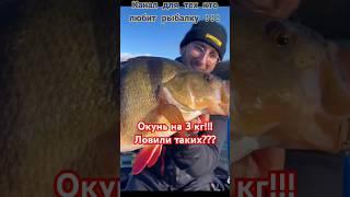 Окунь 3 кг!!! Огромный окунь!!! Трофейный окунь!!! #клубрыбаков #рыбалка #fishing#окуньнаджиг#shorts