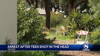 Minor shot in the head during suspected Seaside gang shooting, 1 arrested