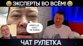 Эксперты во всём (юмор) чат рулетка