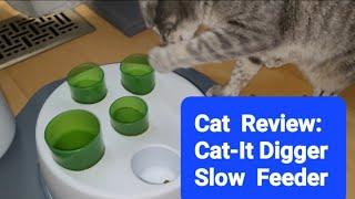 Cat Review: Cat-It Digger Slow Feeder