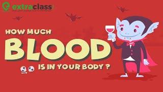 How much blood is in the human body? | Extraclass