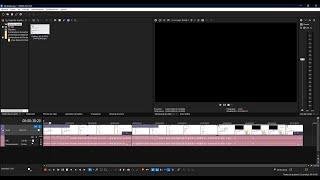 Vegas Pro 19 - Vista previa en negro 2022